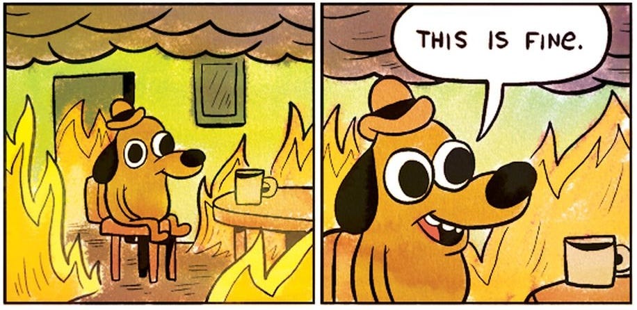 The “this is fine” comic. In the first panel, a cartoon dog wearing a bowler hat is sat in his home having coffee. His house is on fire, a blazing inferno all around him. The dog smiles and says “this is fine”.