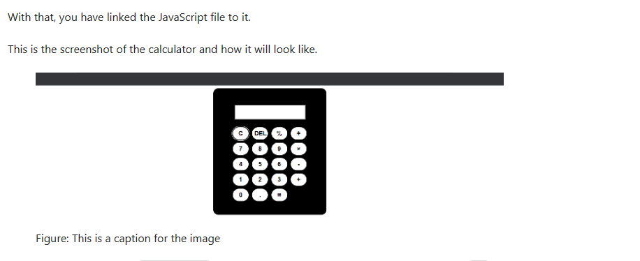 A screenshot example of image caption in a documentation site