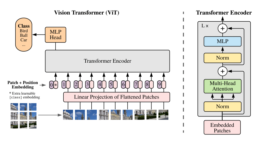 An overview of Vision Transformer