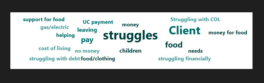 A wordcloud showing the most common words used in Household Support Fund applications.