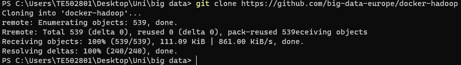 Using git clone command and downloading repository