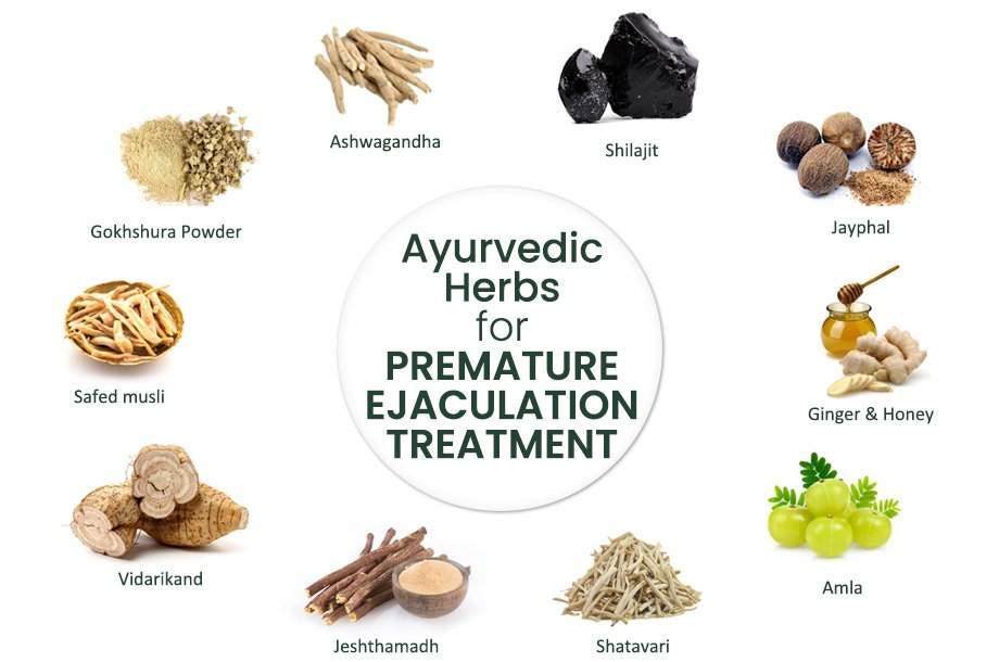 Ayurvedic Remedies for Premature Ejaculation| Night Jockey