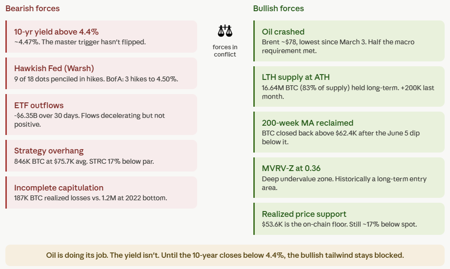 bull vs bear forces
