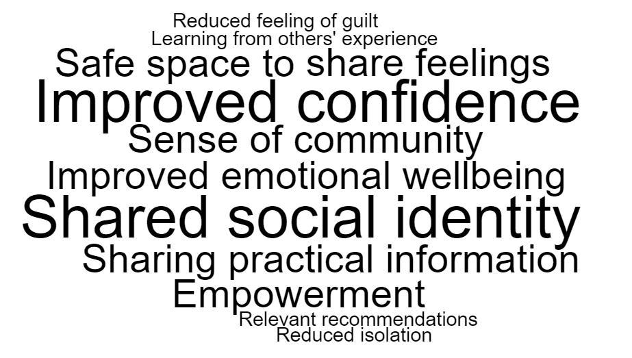 Reduced feelings of guilt, learning from others’ experience, safe space to share feelings, improved confidence, sense of community, improved emotional wellbeing, shared social identity, sharing practical information, empowerment, relevant recommendations, reduced isolation.