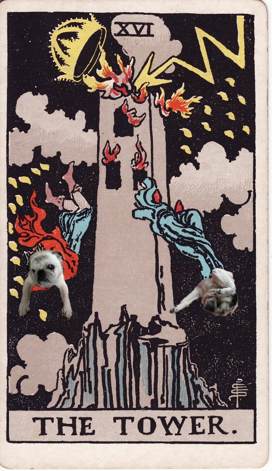 The Tower tarot card from the Rider-Waite deck with Gary the pug Photoshopped poorly into it.