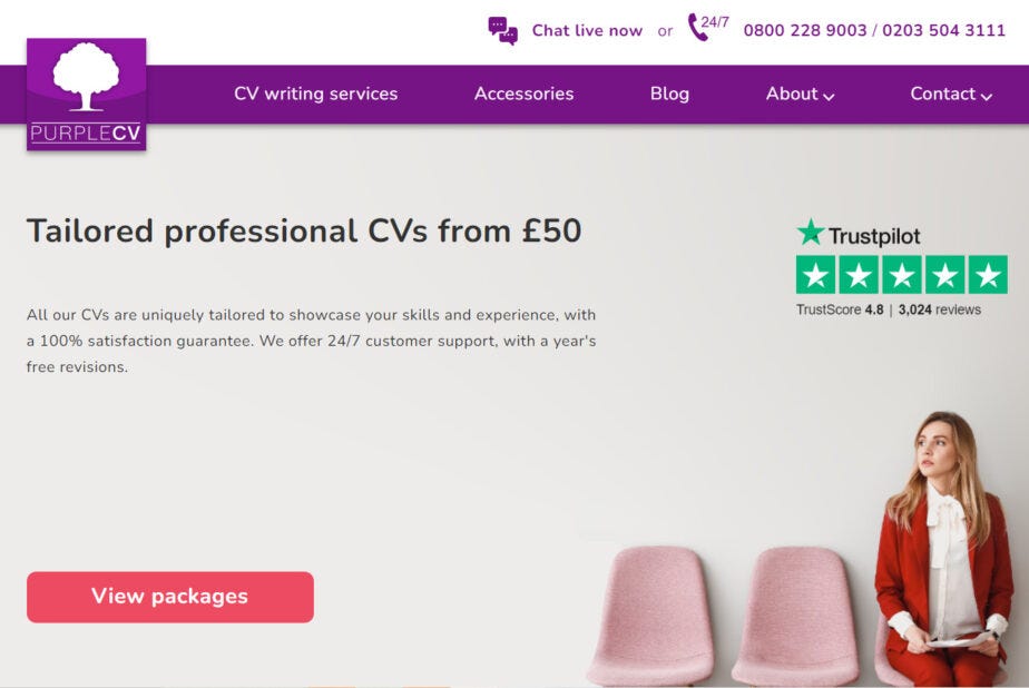 Purple CV website homepage