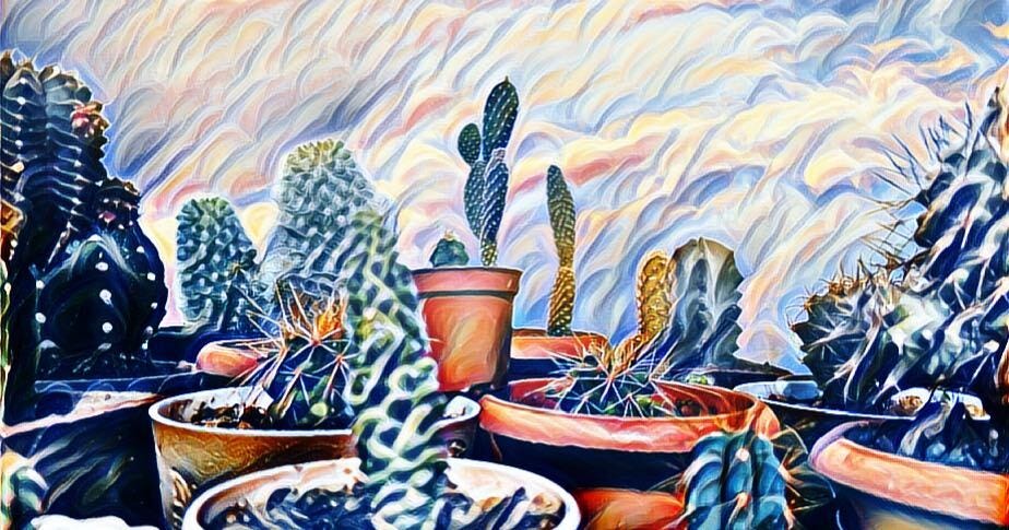 A style transfer algorithm applied on a photo of cacti in pots