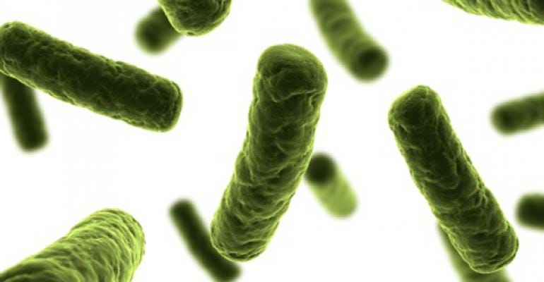 Bacteria – Thrive Global – Medium