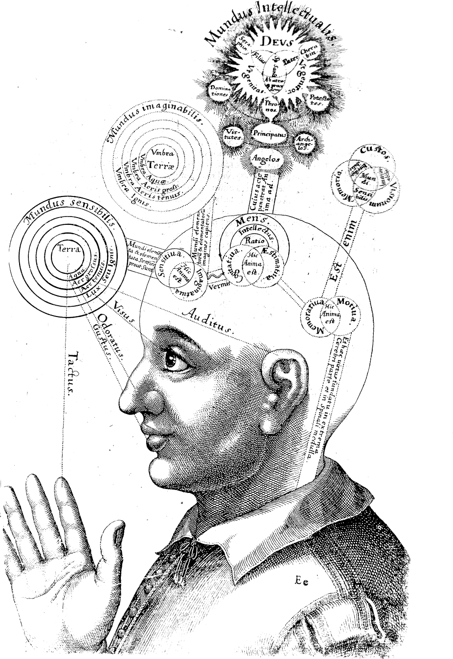 Robert Fludd, The Spritual Brain