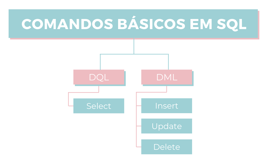 Comandos básicos em SQL: select, insert, update e delete