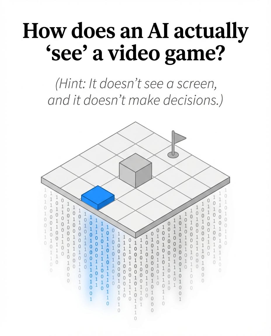 What an AI Really “Sees” When It Plays a Game