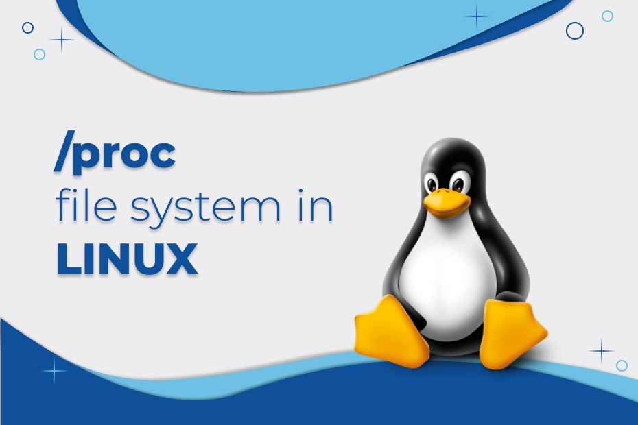 https://digitalgateamg.com/blog/2022/06/17/proc-file-system-in-linux-2/