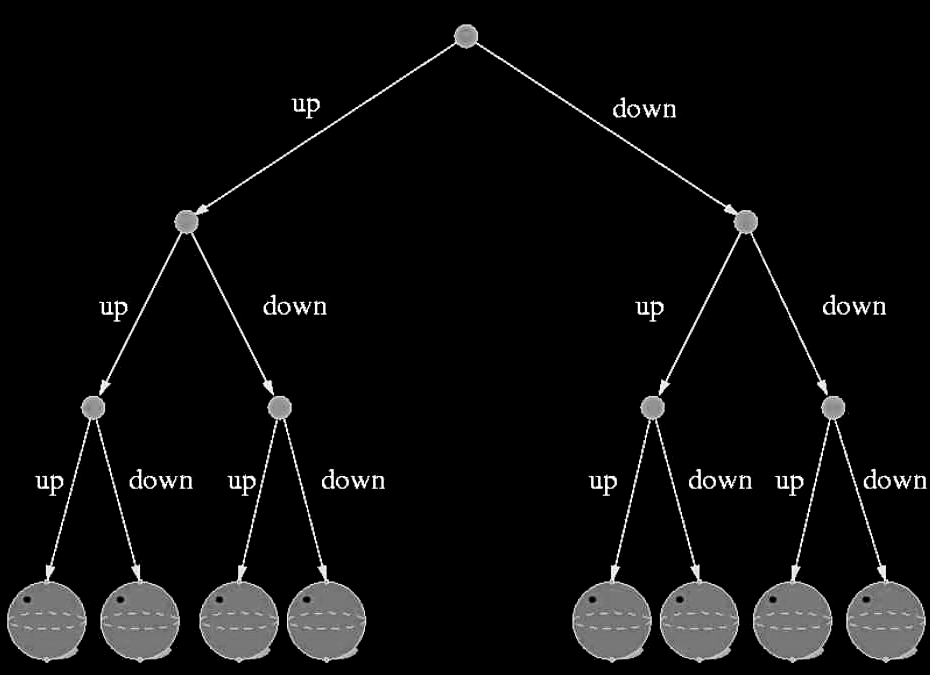 Many Worlds Interpretation Diagram