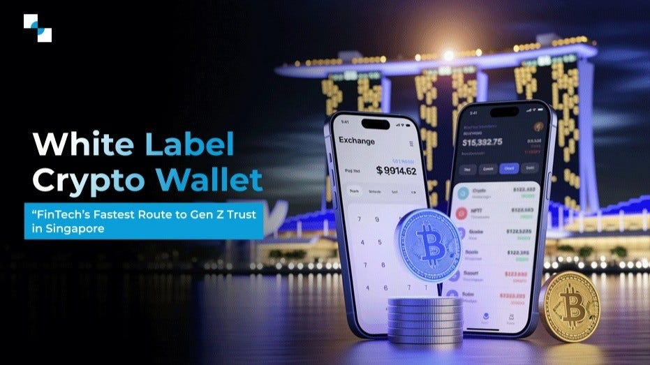 How a White-Label Crypto Wallet Helps FinTechs Win Gen Z & Millennial Singapore Users