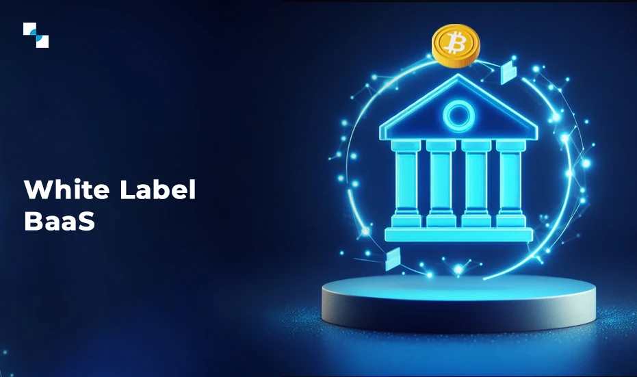 Brands Need to Learn This Before Launching with White Label BaaS in 2026