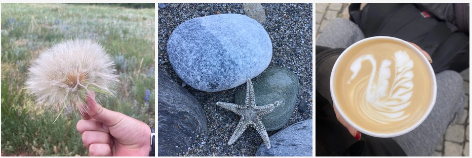 Enormous dandelion seed pod, starfish, a latte with a swan shape made in milk foam