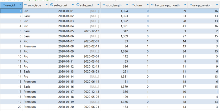 First 20 records in the dataset