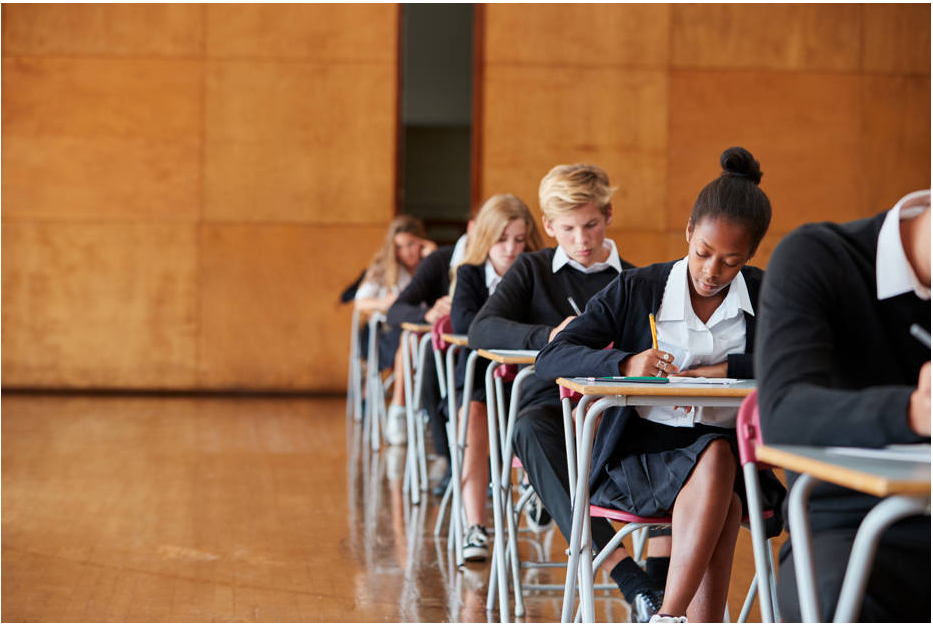 Uncovering the Literacy Advantage: A Comparative Analysis of Student Performance