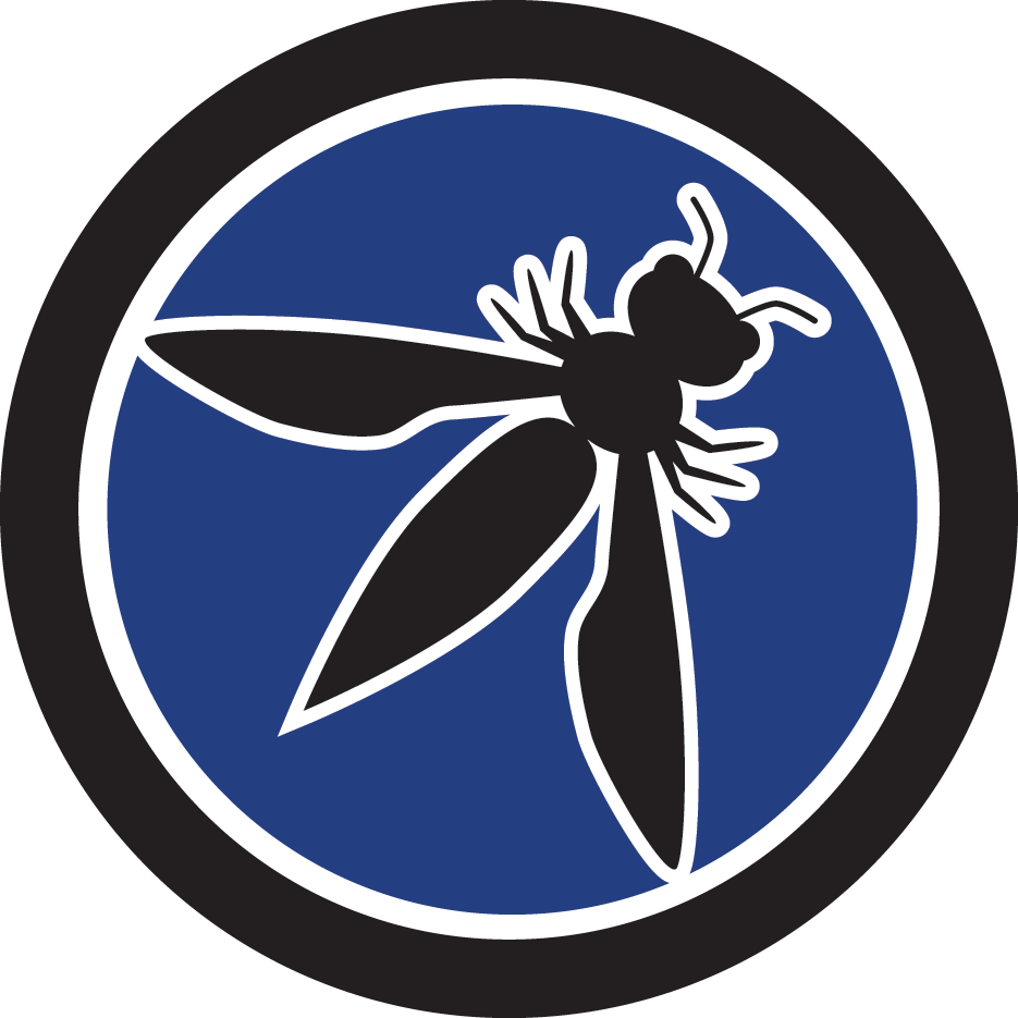 OWASP VITCC logo.
