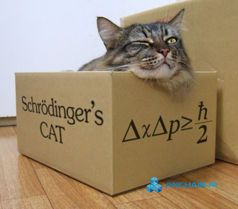 Figure 1: Schrodinger’s cat in quantum mechanics