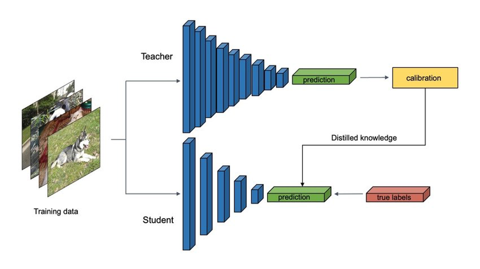 Both Teacher and Student consume training data, although Student has fewer layers of learning. Teacher prediction feeds into calibration which feeds into Student prediction, hence Distilled Knowledge moves from Teacher to Student. Finally true labels are applied to Student prediction.