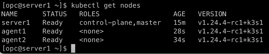 Sample output from kubectl get nodes