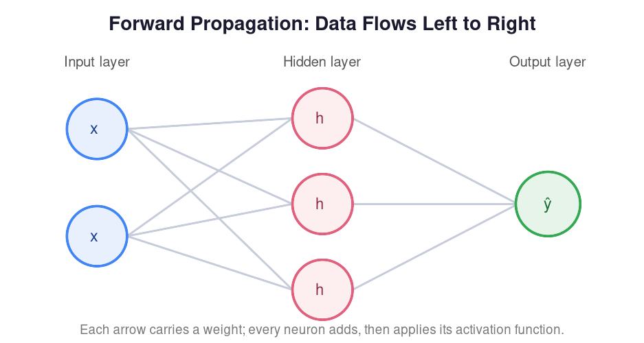 Forward Propagation: How Neural Networks Process Data