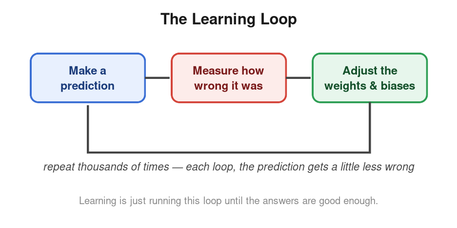 How does a neural network learn?