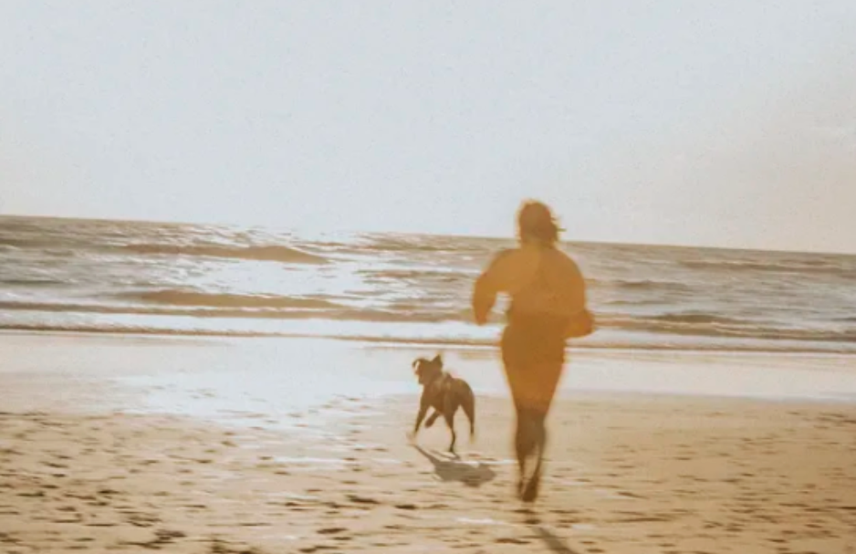 Woman and her dog playing at the beach