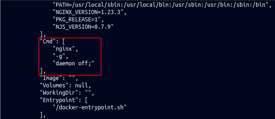 Section showing Cmd inside docker image