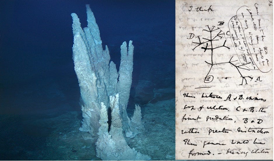 Image of a alkaline hydrothermal vent deep in the ocean (left), tree of life as conceived by Darwin himself (right)
