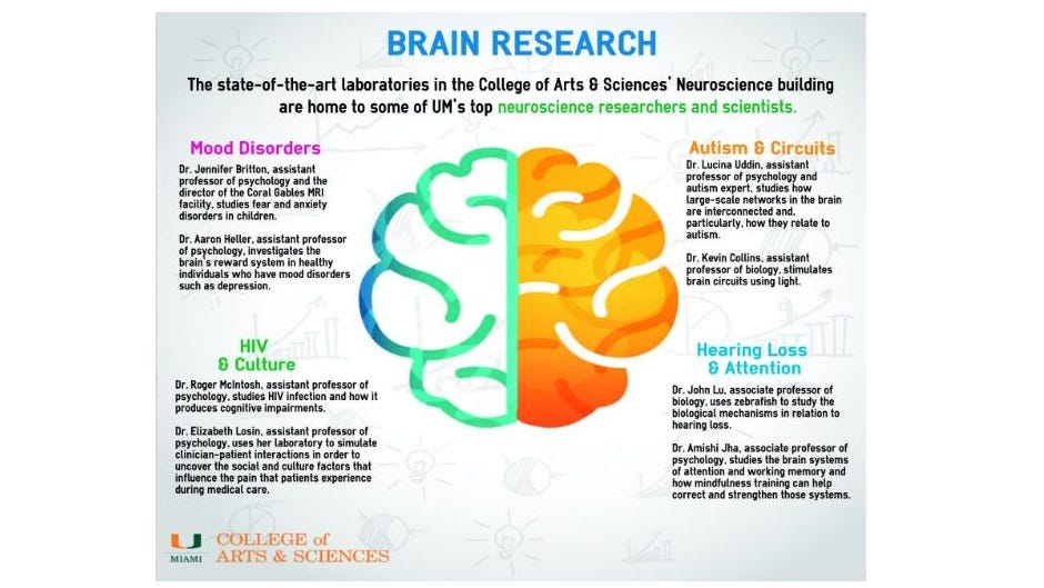 Your Brain Never Stops Rewriting Itself — And Science Finally Knows How-Neuroscience