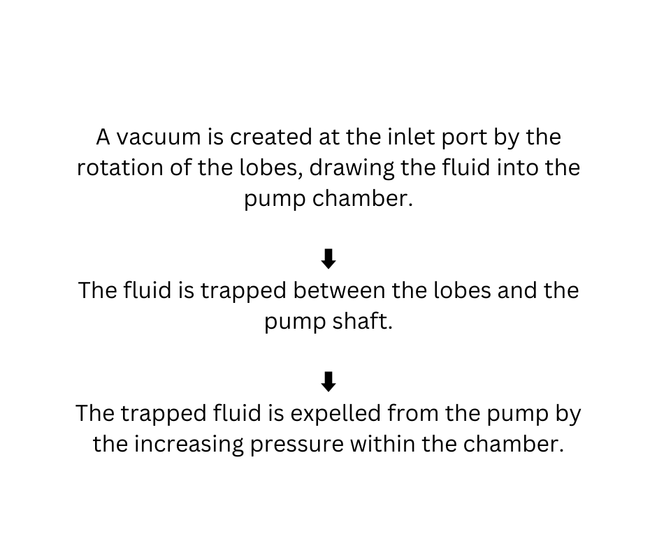 Working Mechanism Of Rotary Lobe Pumps