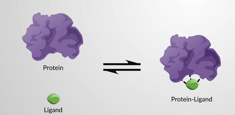 protein ligand