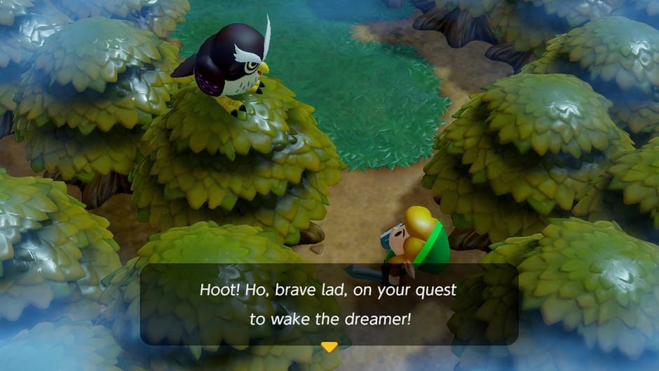 Link talks to an Owl on his quest.