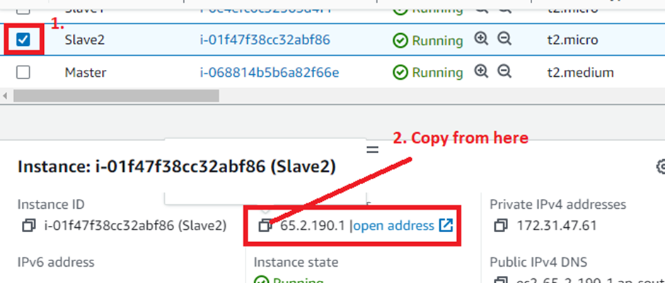 Copy Slave2 Public IP Address