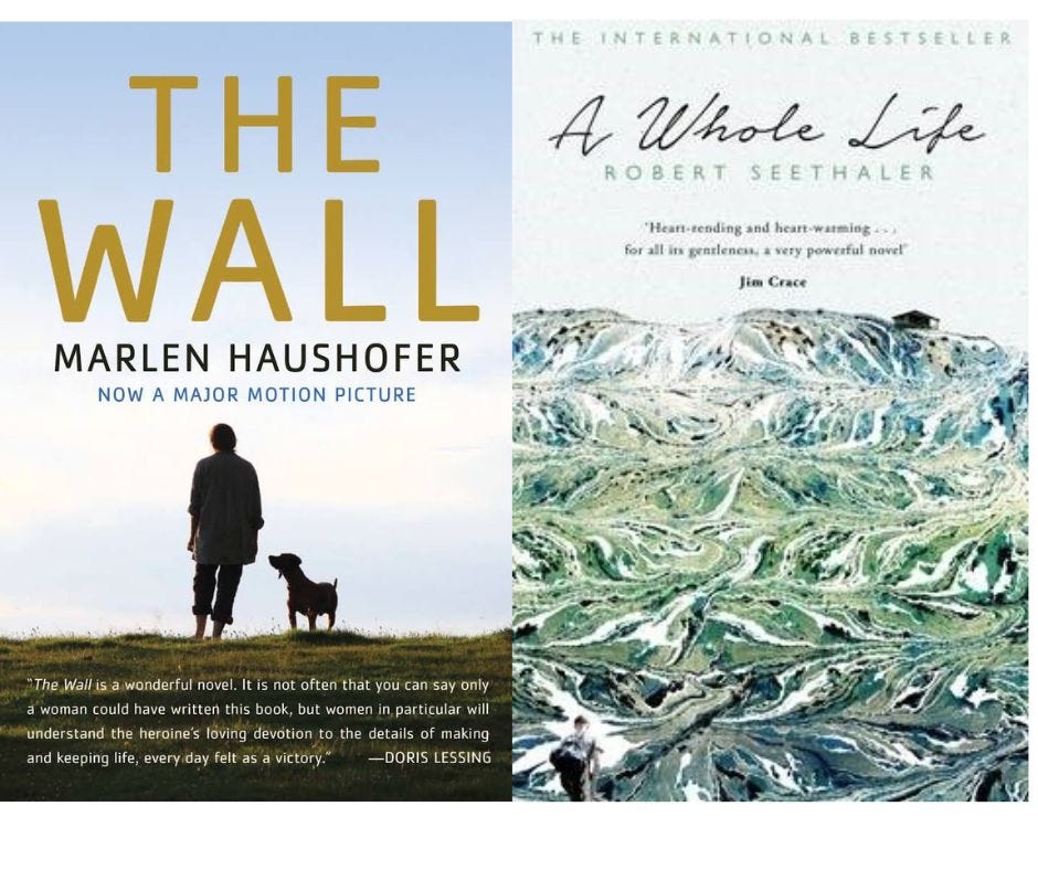 Book covers for the novels ‘The Wall’ by Marlen Haushofer (featuring the silhouette of a woman and dog in a field), and ‘A Whole Life’ by Robert Seethaler (showing an illustration of a mountainous landscape).