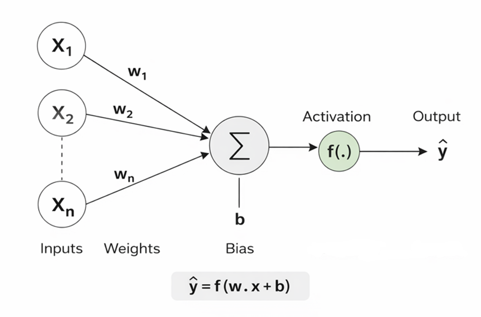 Neural Networks Explained Simply: How Machines Learn to Think