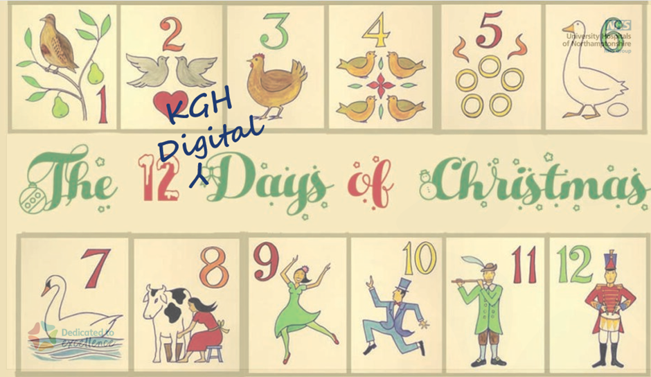 Image showing the 12 days of Christmas imagery