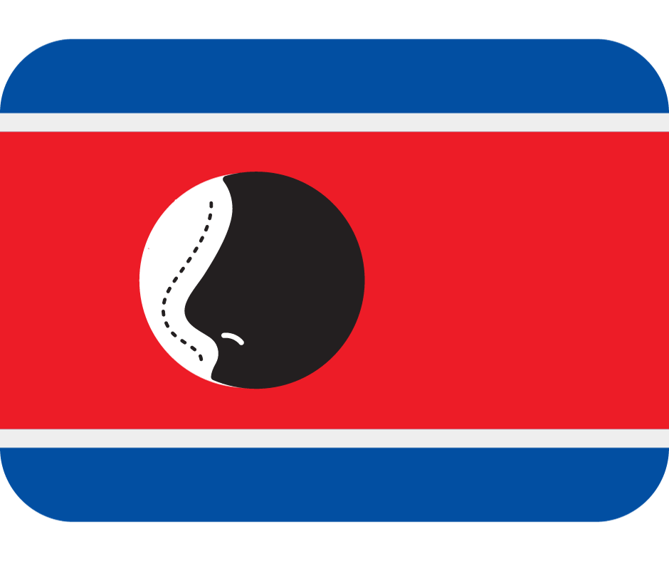 Rhinoplasty North Korea