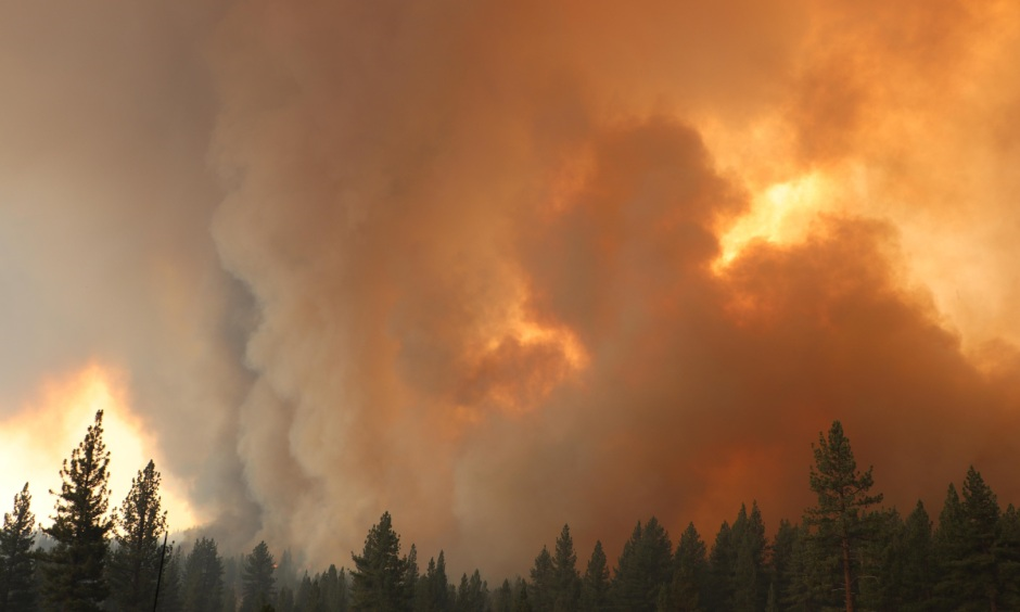 Smoke arises from a forest line during the 2021 Tamarack Fire that burned in parts of California and Nevada.