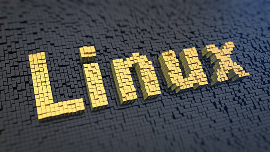7 Reasons to Choose Linux Hosting for Your Business