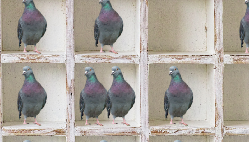 A literal depiction of pigeons in holes