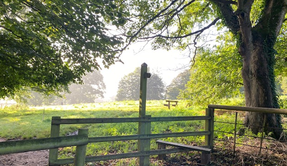 A sunny view of a green field with a fence and a bench