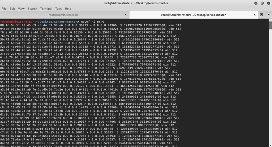Kali Linux : MAC flooding attack
