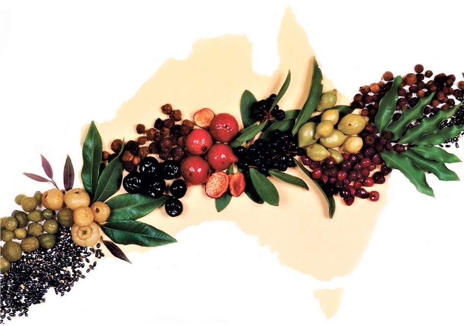 Australian wild foods — fruits, herbs and spices
