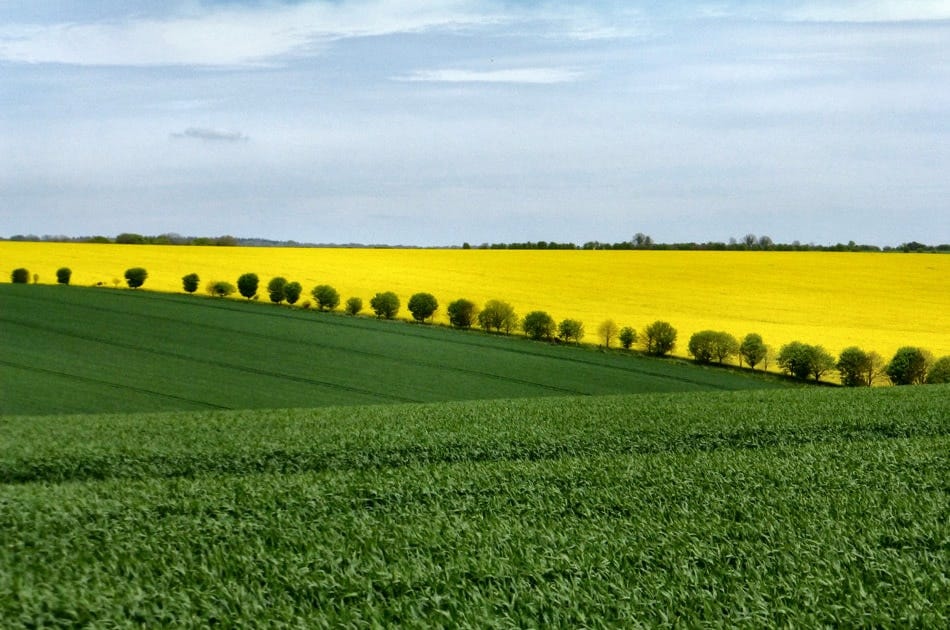 Crops in contrast