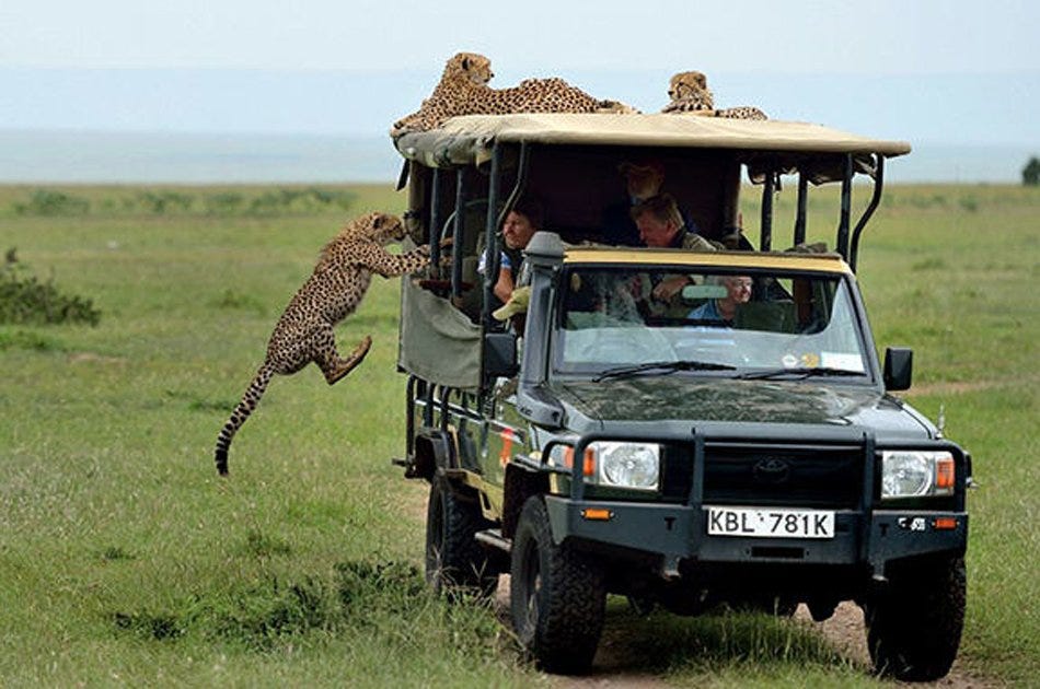 Tanzania Joining Safaris Groups by Generous African Safaris and tours