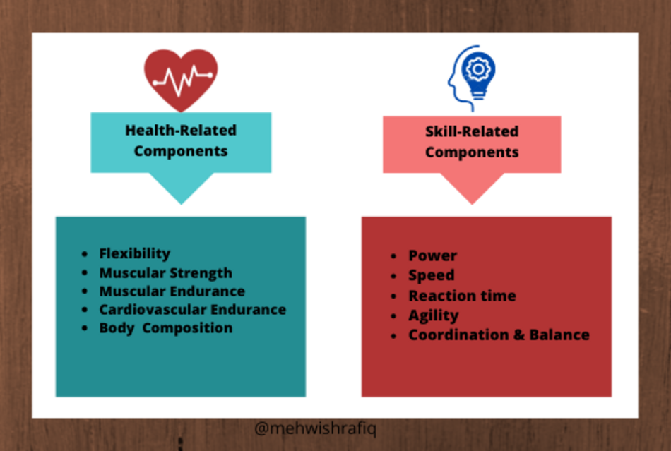 components of physical fitness, health-related components, skill-related components