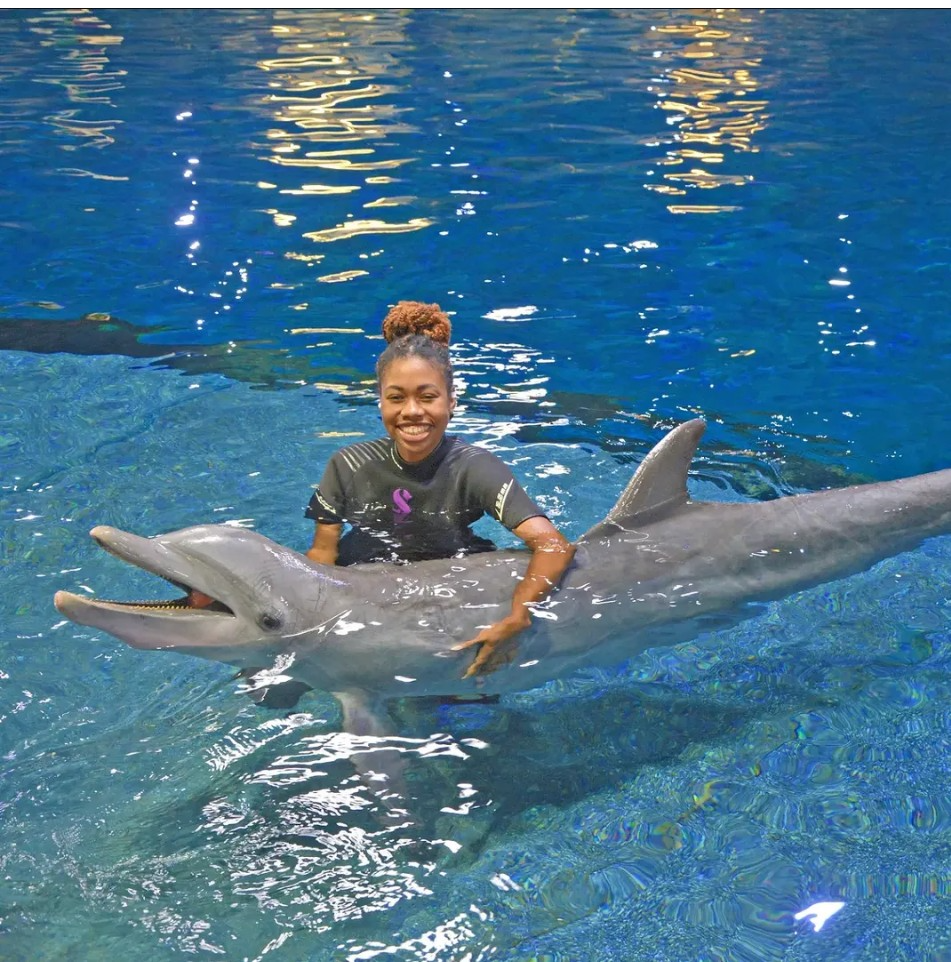 MJ stands waist-deep in a pool, wearing a dark short-sleeve wetsuit or swim top with a purple logo on the chest. She is holding a dolphin at the surface of the water, with the dolphin&rsquo;s head and dorsal fin visible above the bright blue water. The pool extends into the background with ripples reflecting light across the surface.